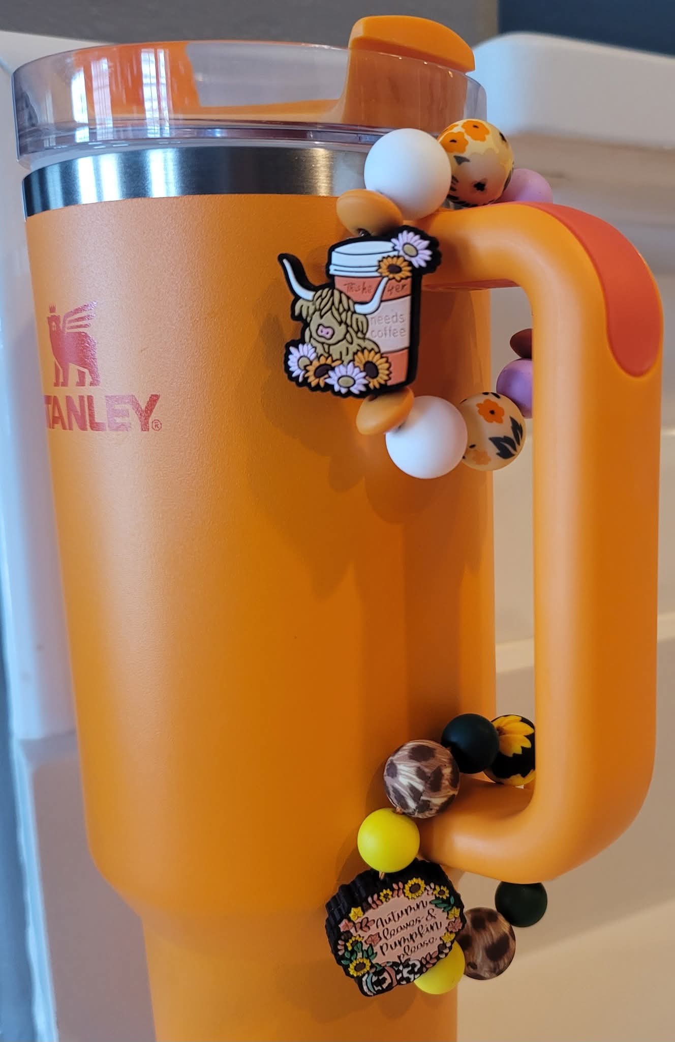Autum Leaves and Pumkin Please/Fall Theme Cup Charm/Charms/Handle Accessory/ Accessory for Cups/Silicone Beads